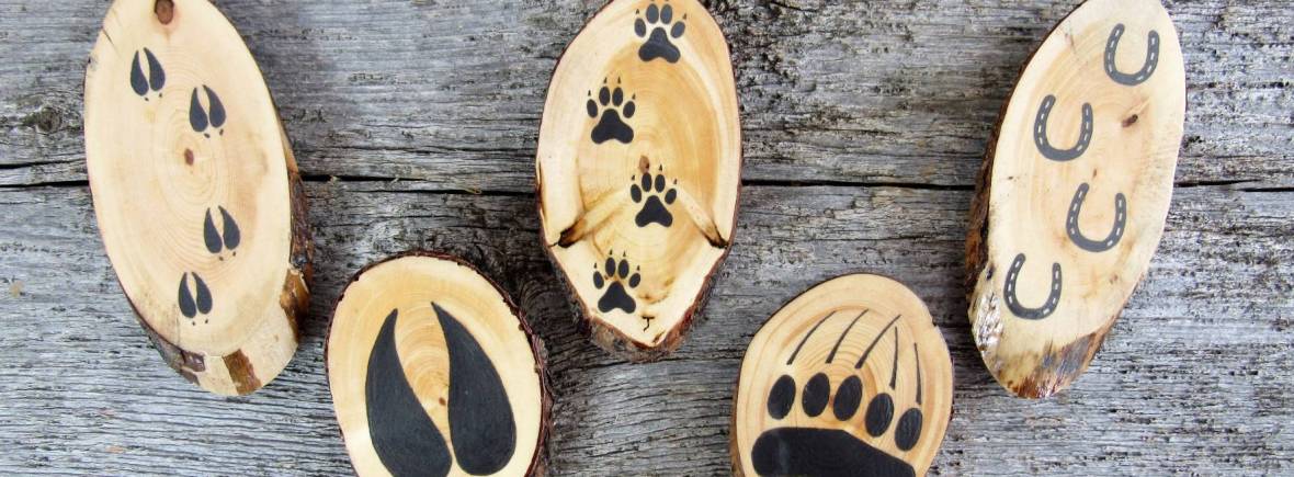 Wooden fridge magnets with domestic animal tracks