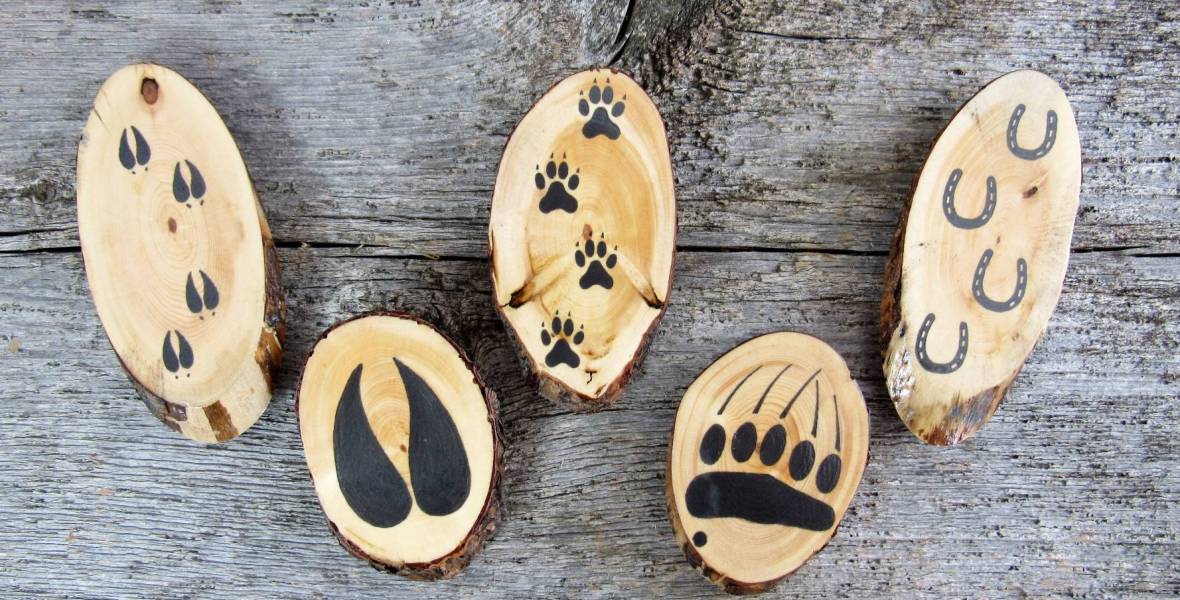 Wooden fridge magnets with domestic animal tracks